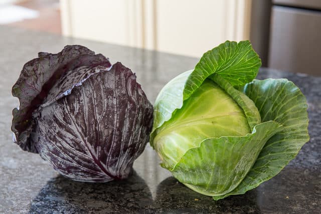 Cabbage Picture