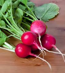 Red Radish